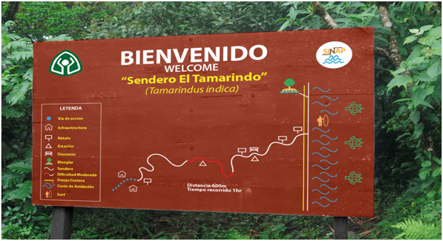 Propuesta de rótulo interpretativo para el sendero El Tamarindo, 2018.
