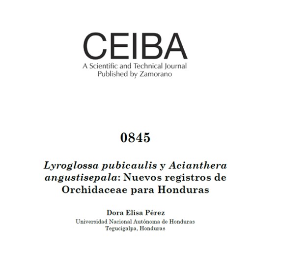 					Ver Núm. 0845 (2020): Lyroglossa pubicaulis y Acianthera angustisepala: Nuevos registros de Orchidaceae para Honduras
				